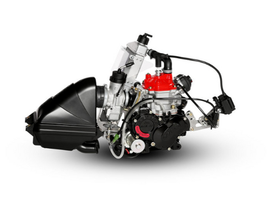 Rotax Senior Max 125 Evo Motor