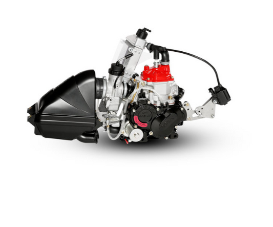 Rotax 125 Junior Max Evo komplett