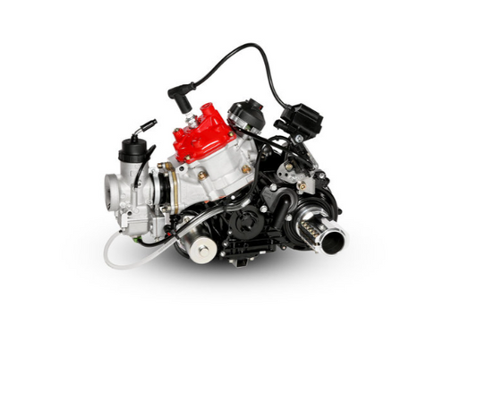 Rotax 125 Max DD2 Evo Komplett