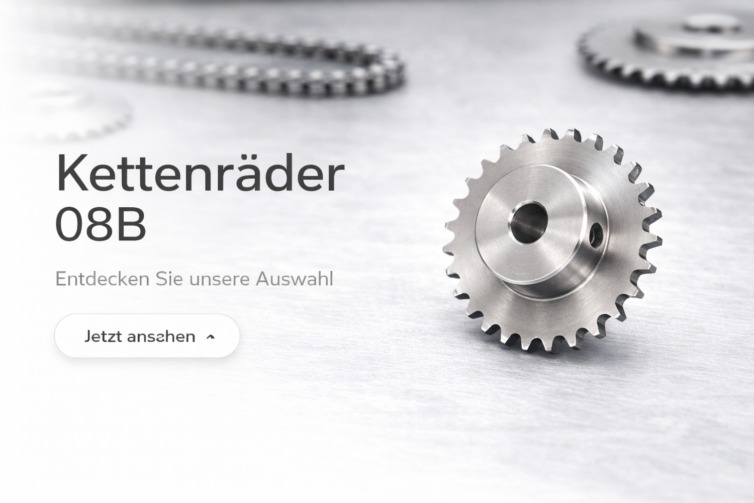 Kettenrad 08B-1